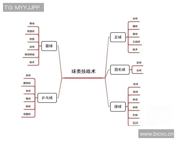 深圳篮球队战术深度解析:从进攻到防守的全景探秘 深圳篮球队战术深度解析:从进攻到防守的全景探秘