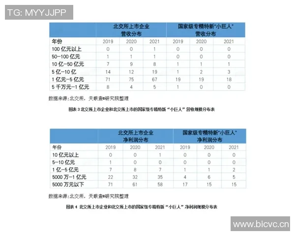 深圳篮球队强势领跑最新篮球力量榜单TOP10全解析